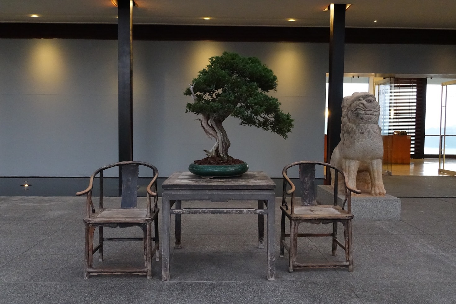 Exploring Indonesia’s Unique Bonsai Species